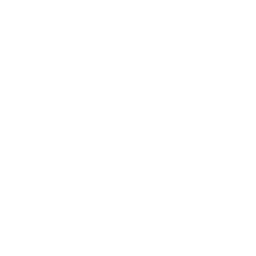 alara logo